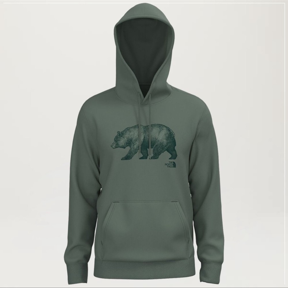 The north face hoodie pullover